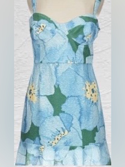 Hutch Floral Blue/Green Sleeveless Bustier Ruffle Hem Mini Dress - Size Medium